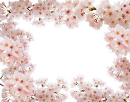 4月4日（火）はお休みとなります