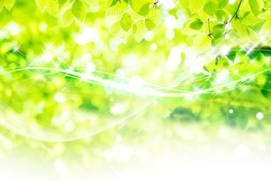 4月25日（火）はお休みとなります