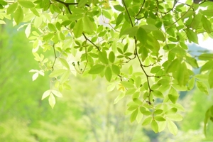 5月9日（火）はお休みとなります