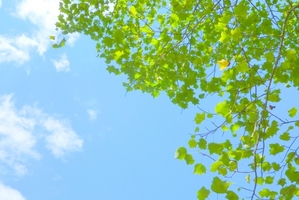 7月10日（火）はお休みとなります