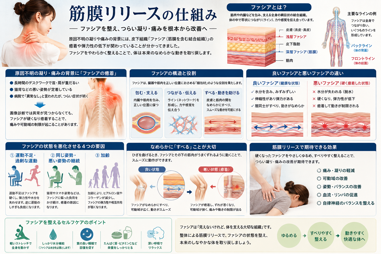 ファシア（筋膜）について