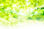 4月25日（火）はお休みとなります